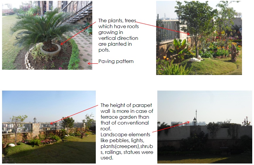 Green roof